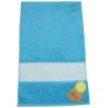 Aqua Blue